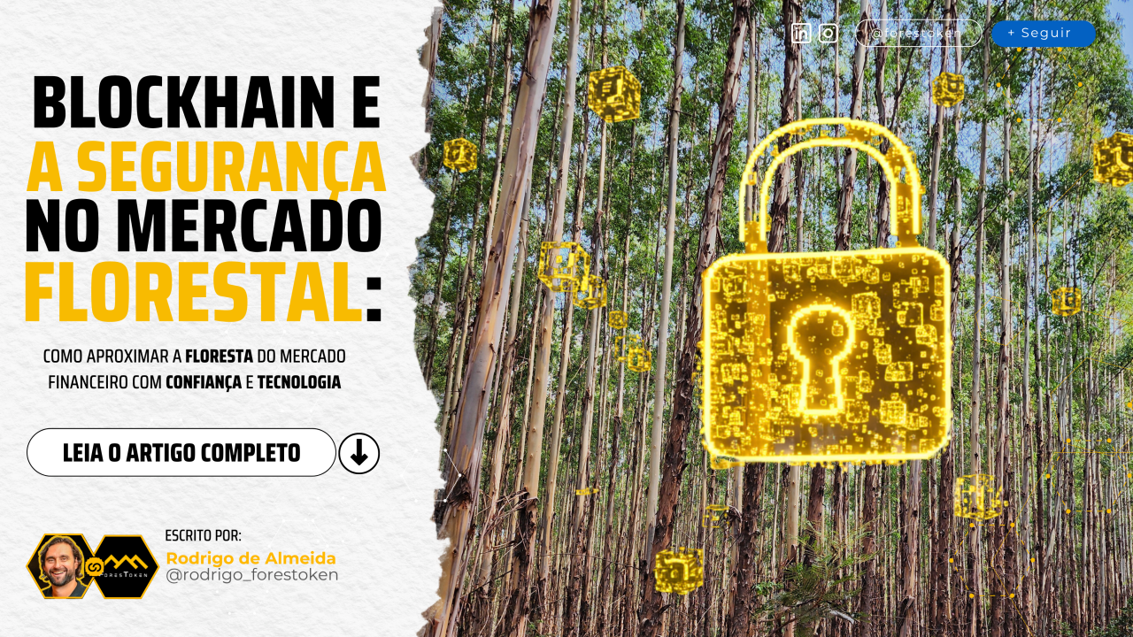 Blockchain e Segurança no Mercado Florestal: como aproximar a floresta do mercado financeiro com confiança e tecnologia