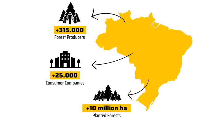 +320.000